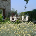 B&B Torre dei Magnani Yoga in giardino